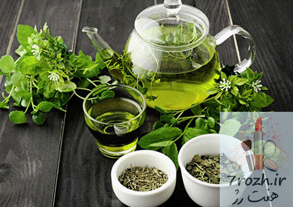 چند گیاه برای افزایش رشد مو