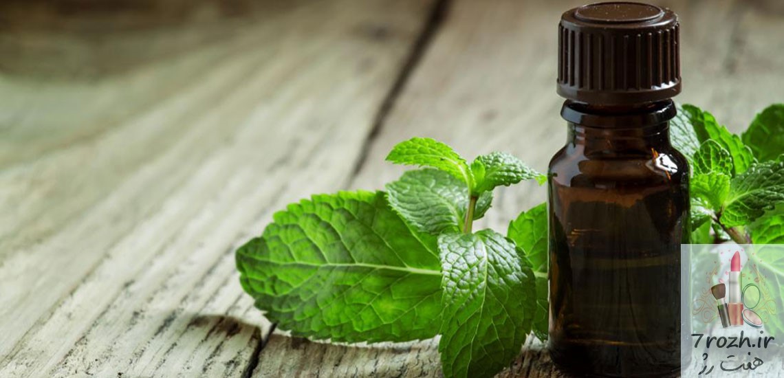 چند گیاه برای افزایش رشد مو